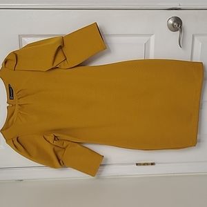 New York and Company Mustard Knee Length Dress with Puff Sleeve